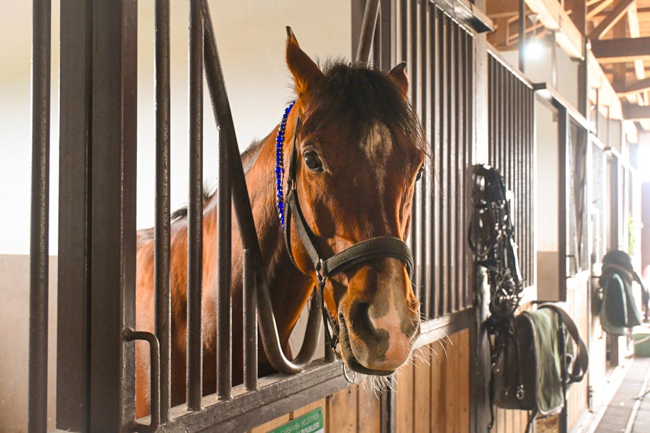 手提包:你的時尚夥伴與情感寄託