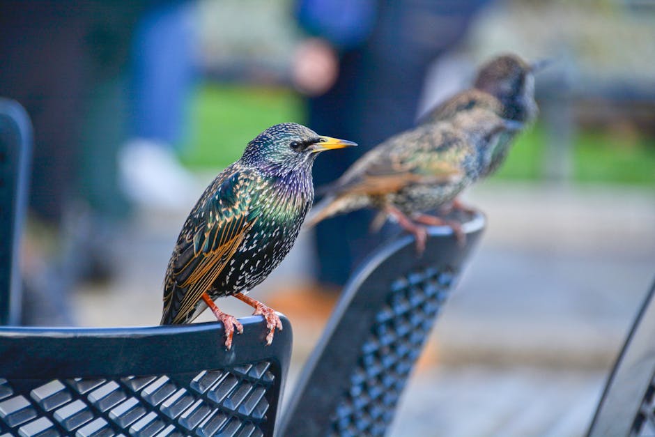 可持續發展地標香港：隱藏於城市角落的綠色故事
